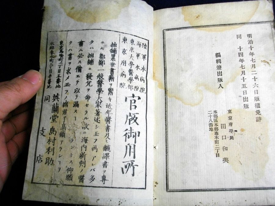 イメージ 8