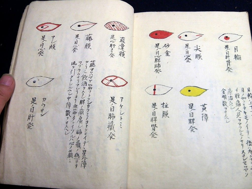 イメージ 10