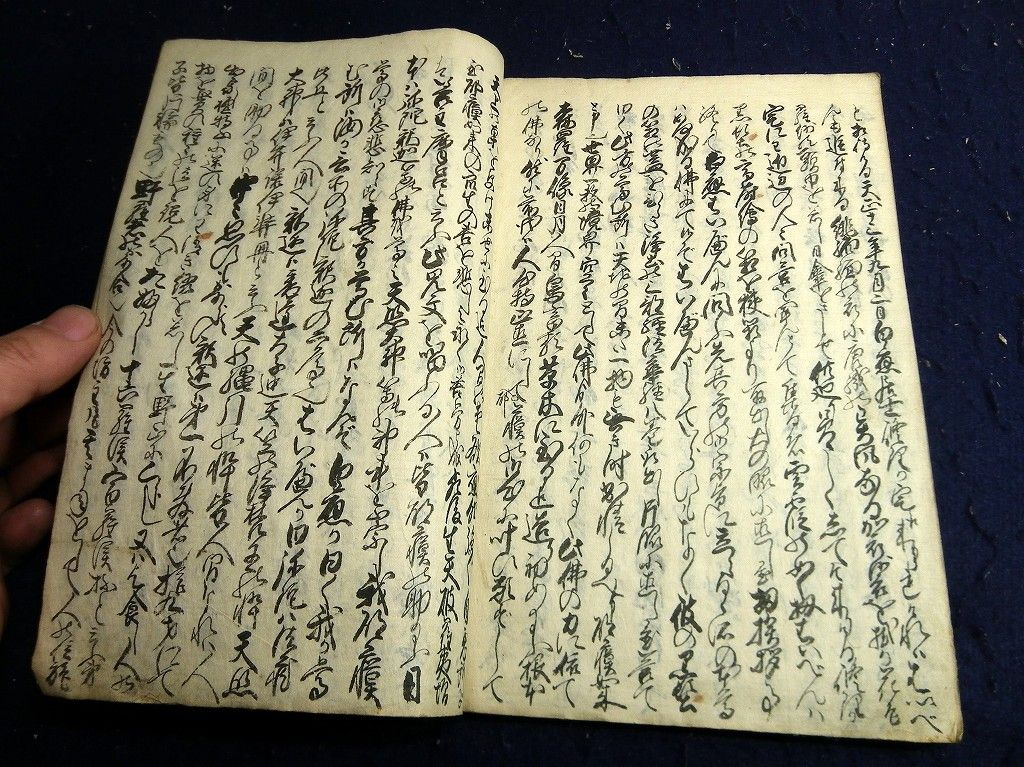 イメージ 5