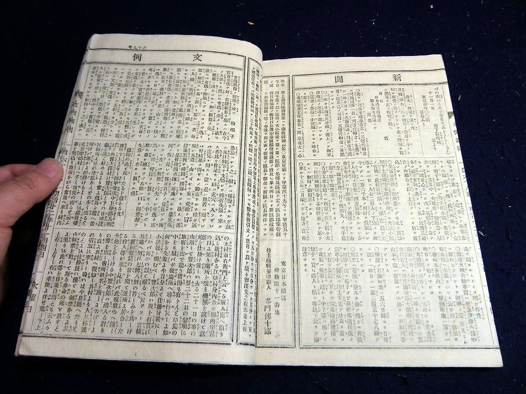 イメージ 7
