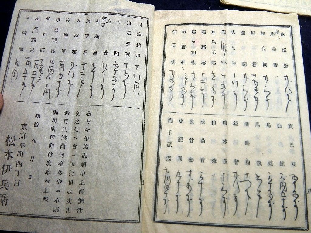 イメージ 9