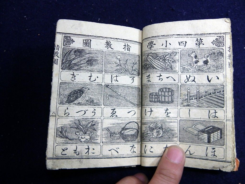イメージ 6