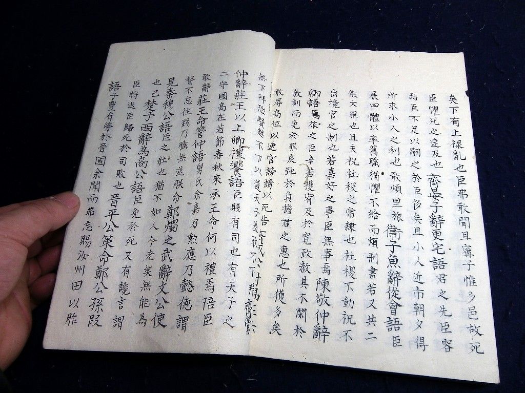 イメージ 8