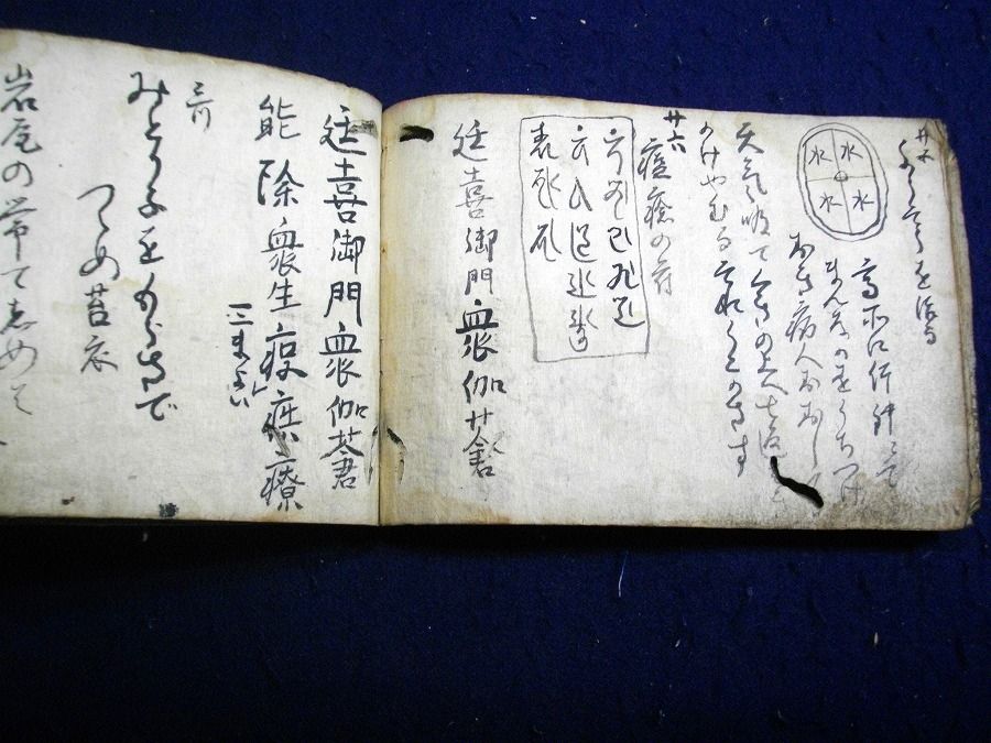 イメージ 6
