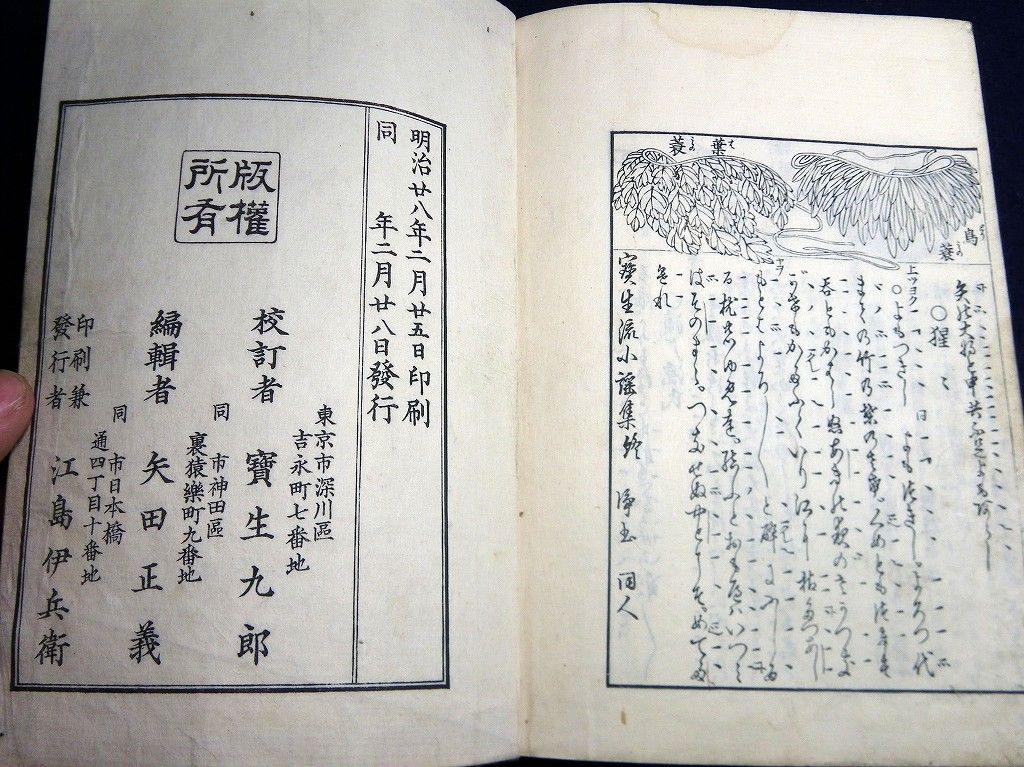 イメージ 9