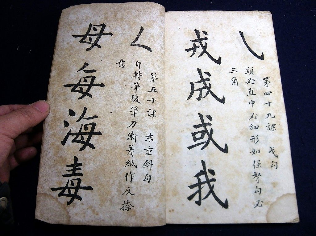 イメージ 7