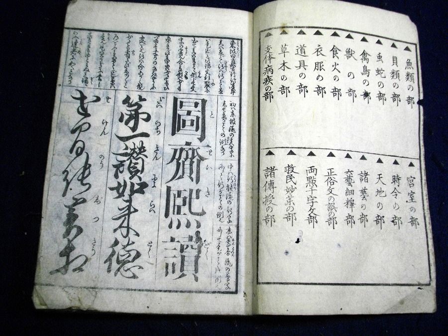 イメージ 2