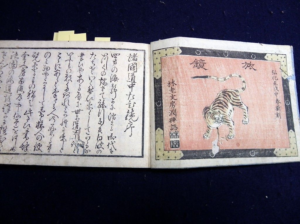イメージ 3