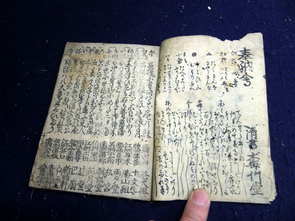 イメージ 3