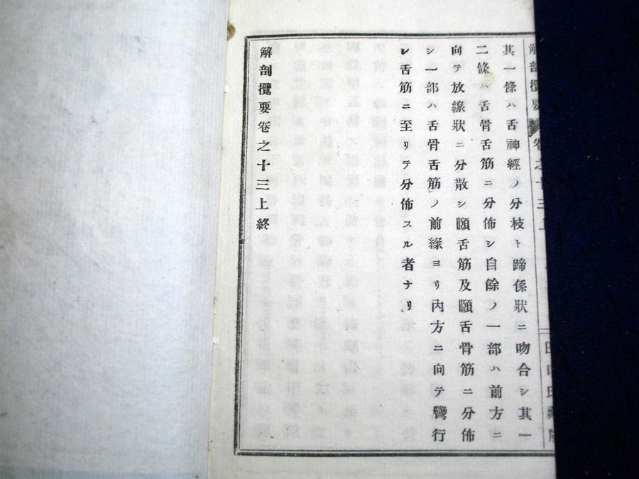 イメージ 10