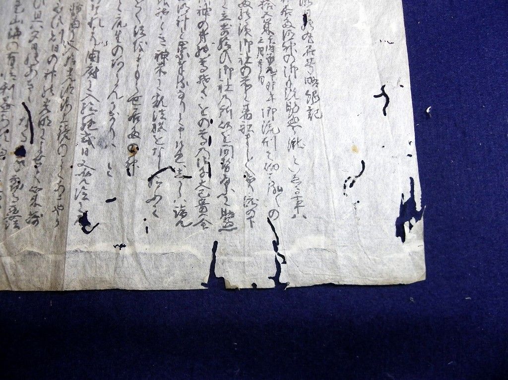 イメージ 3