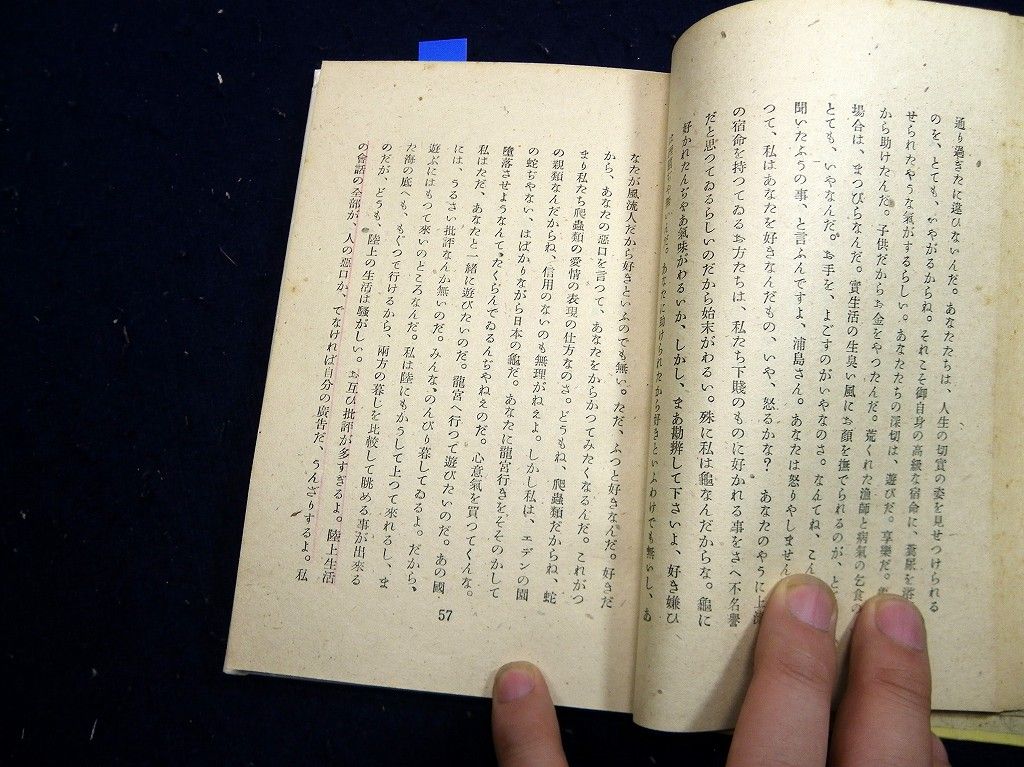 イメージ 6