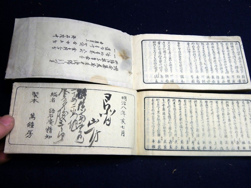 イメージ 7