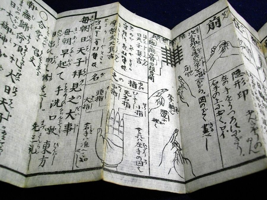 イメージ 5