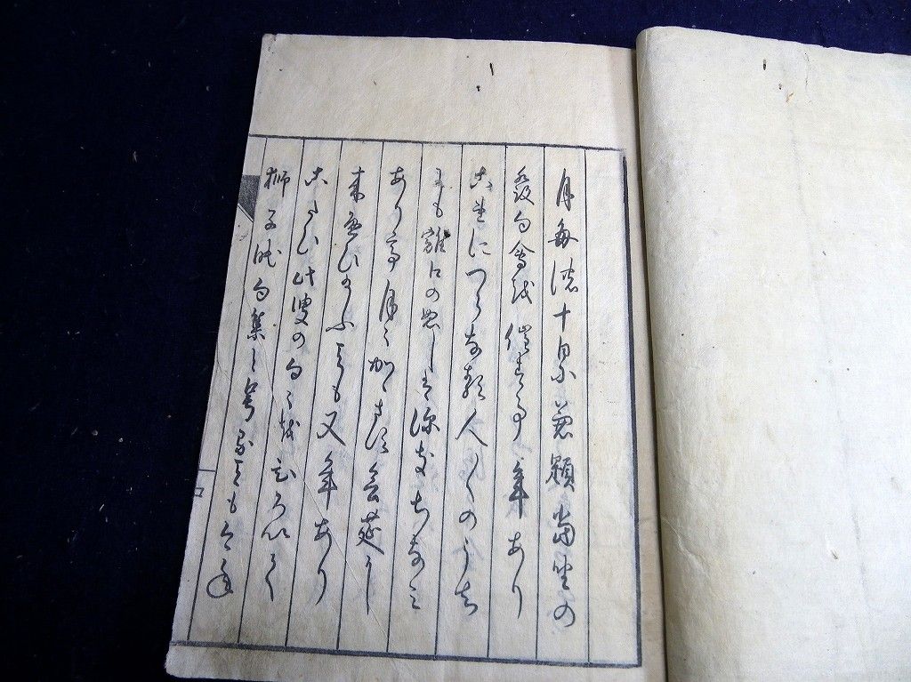 イメージ 7