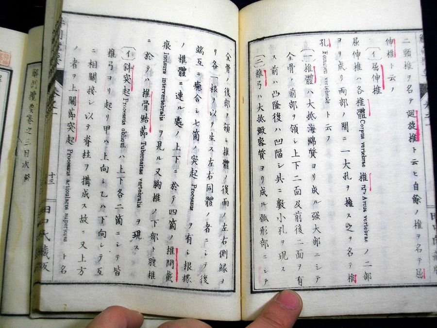 イメージ 3