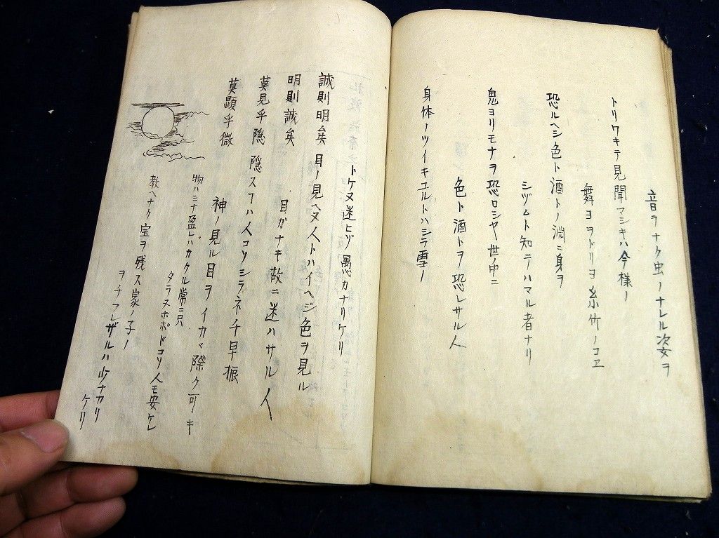 イメージ 11