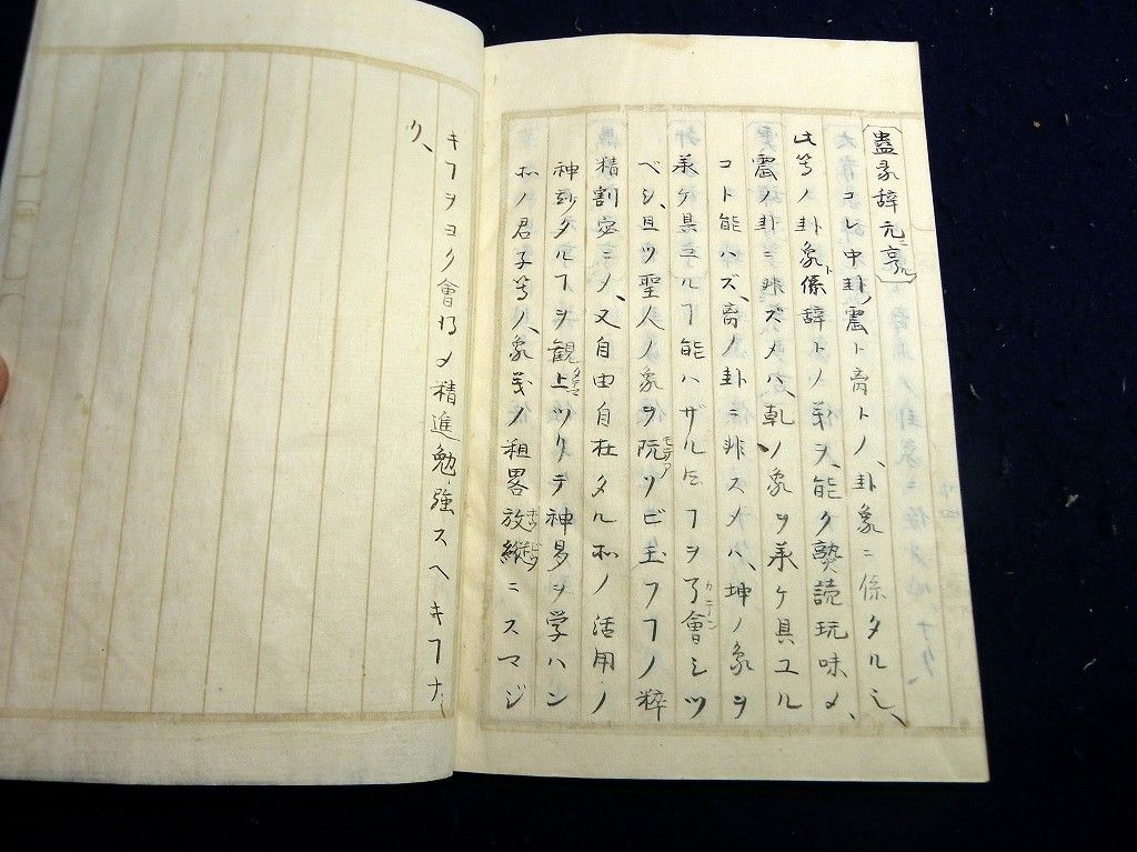 イメージ 11