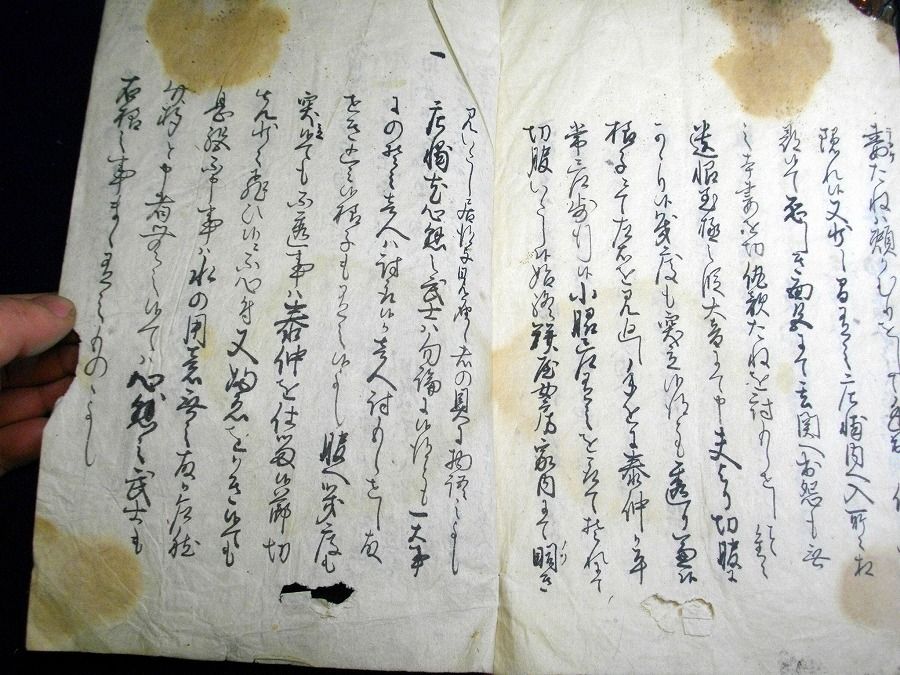 イメージ 8