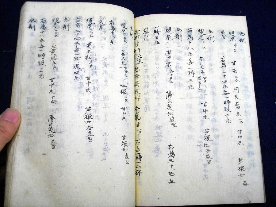 イメージ 7