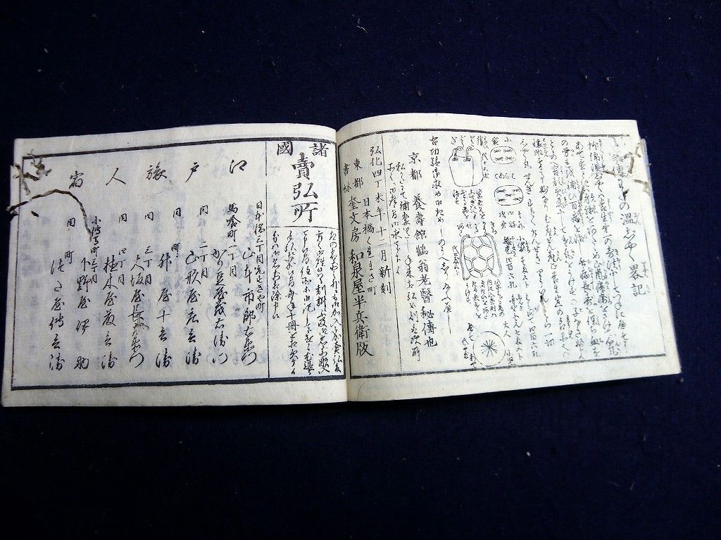 イメージ 14
