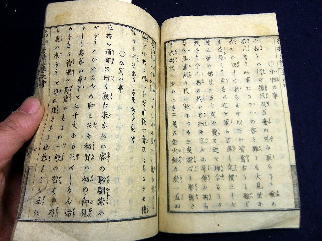イメージ 4