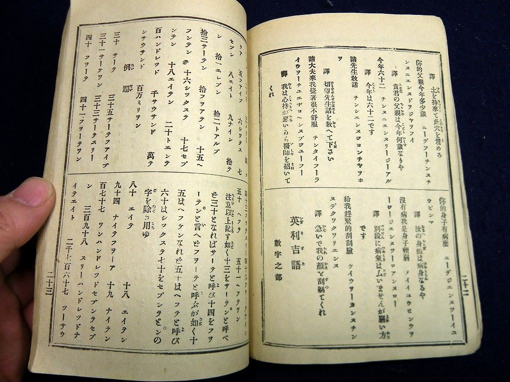 イメージ 8