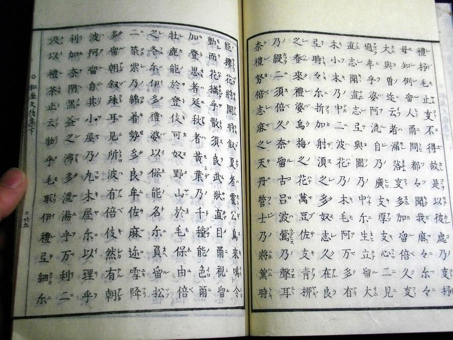 イメージ 8