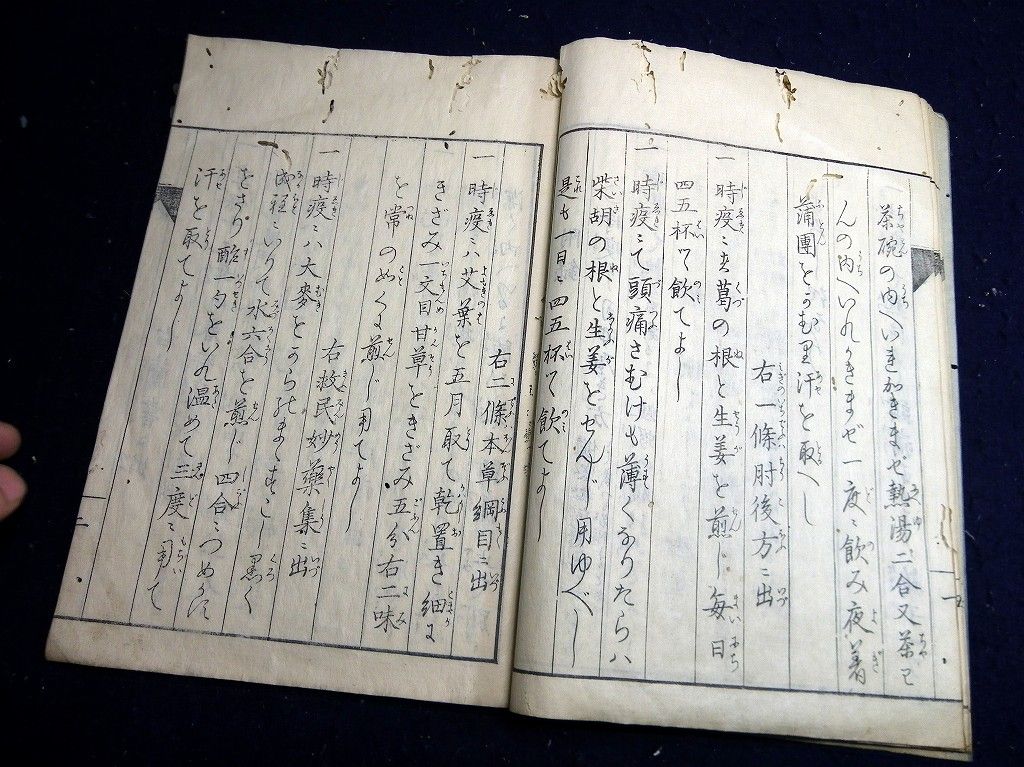 イメージ 8