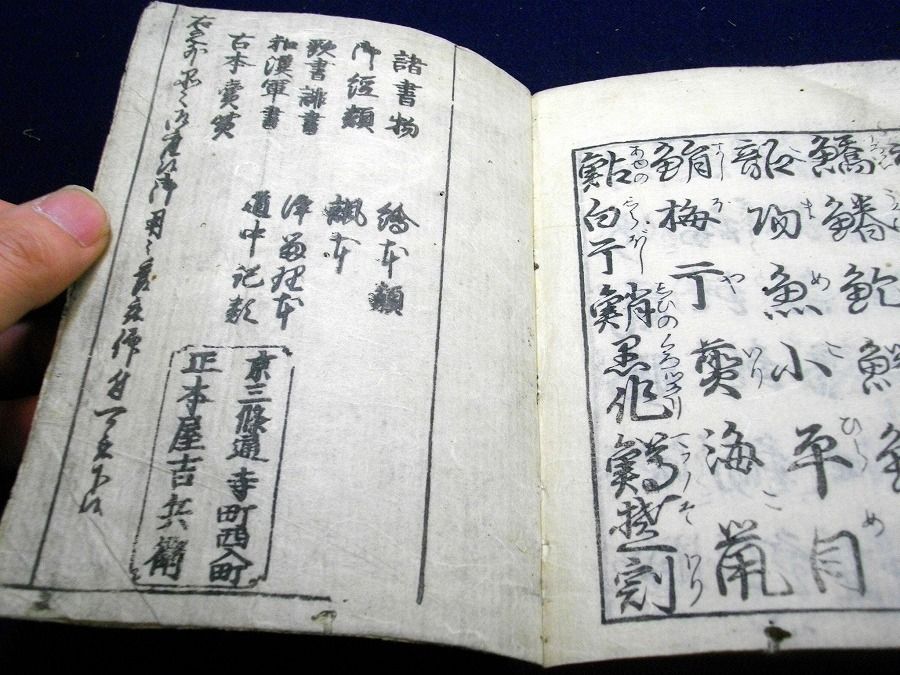 イメージ 6