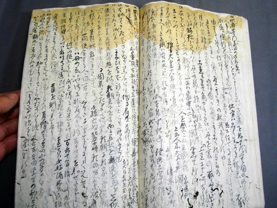 イメージ 5