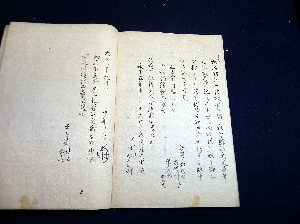 イメージ 7
