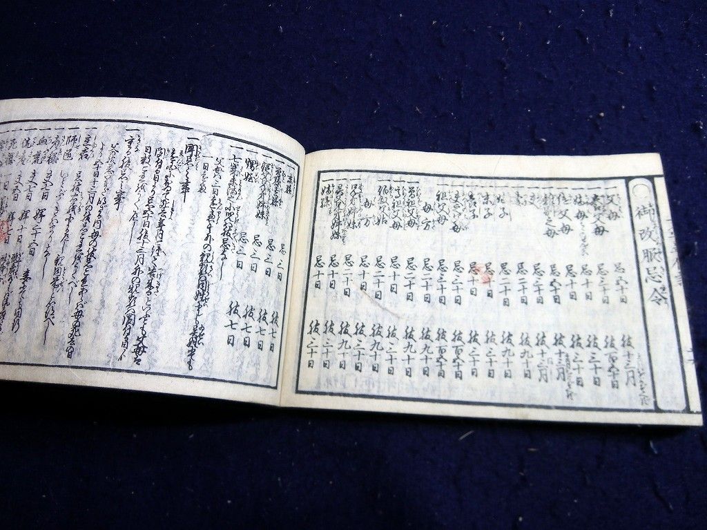 イメージ 11