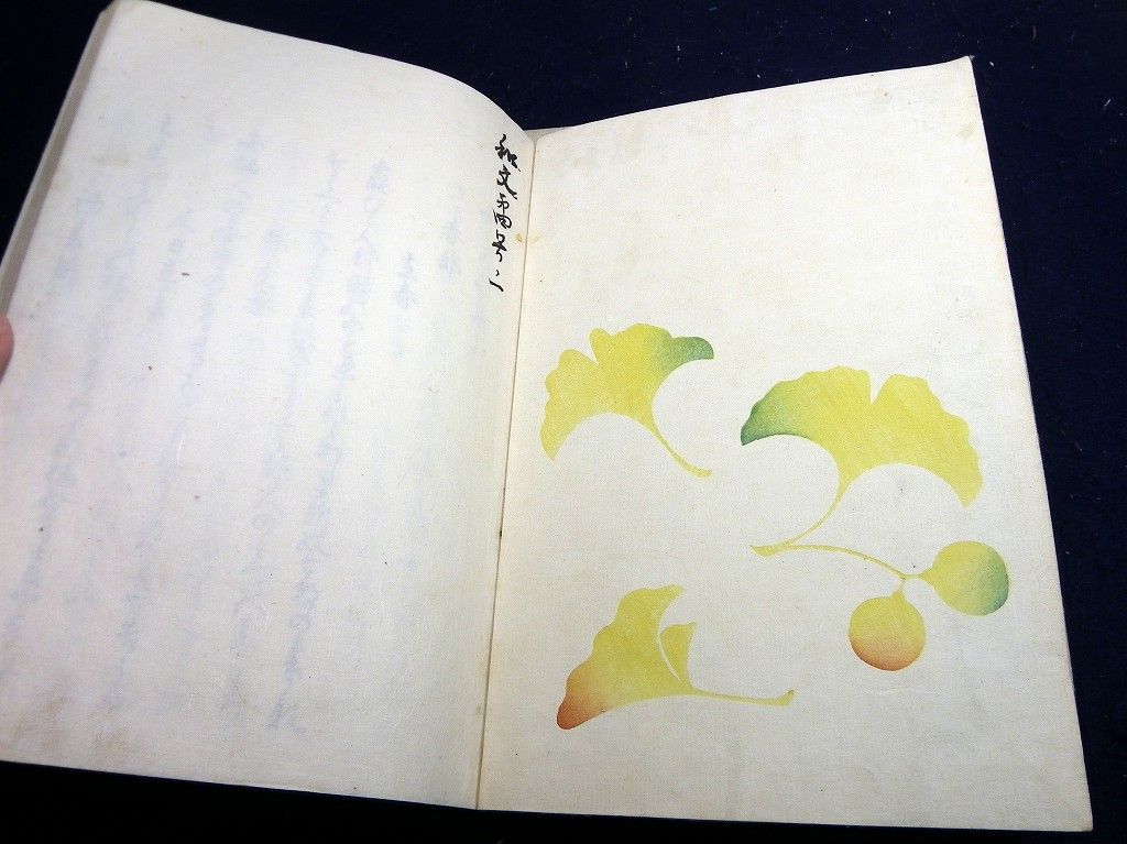 イメージ 2