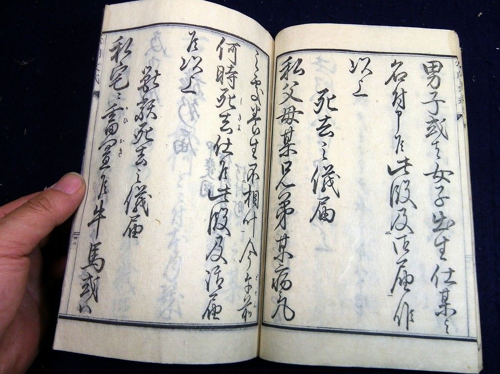 イメージ 7