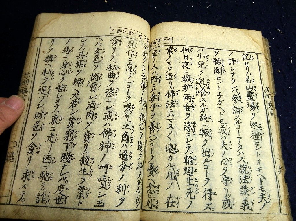 イメージ 6