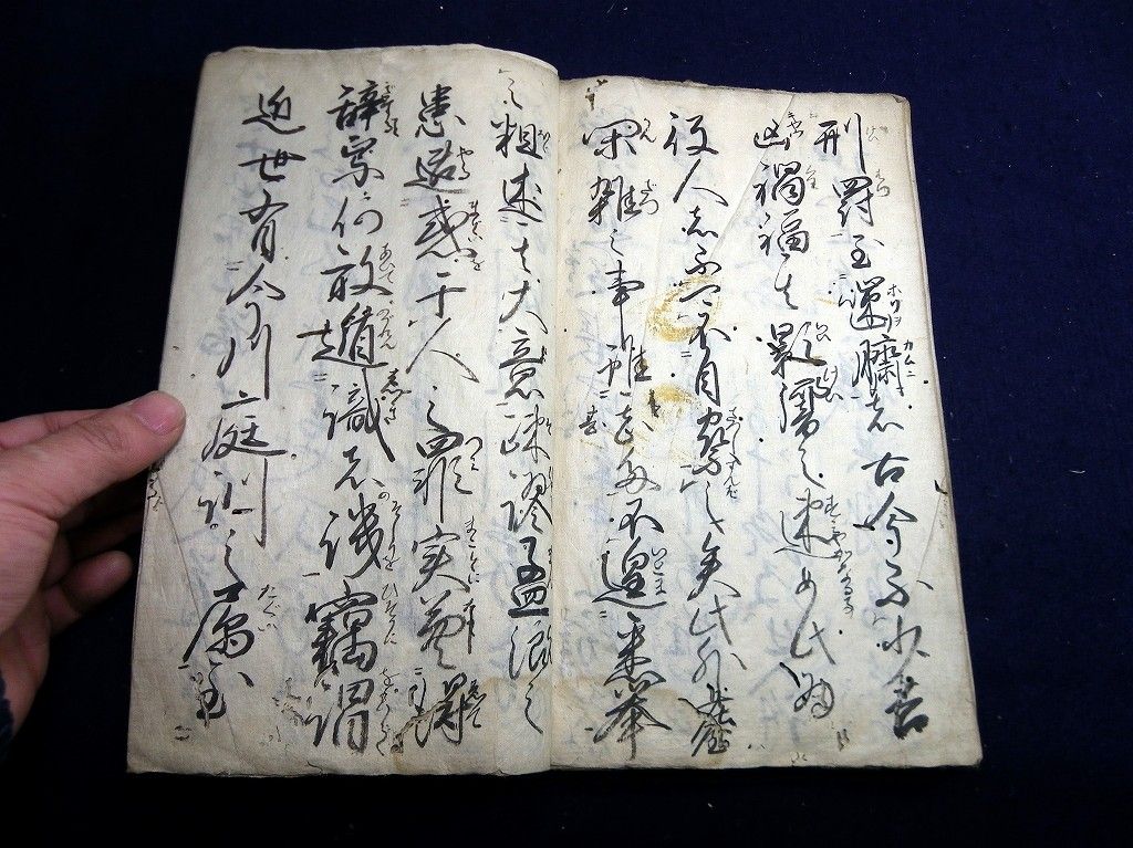 イメージ 6