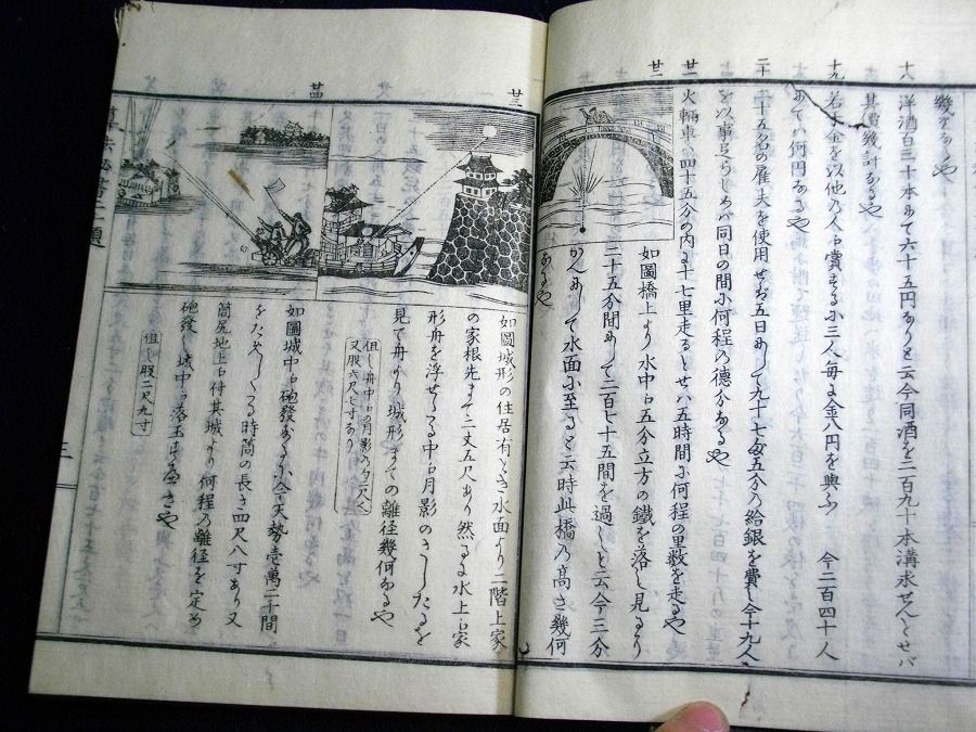 イメージ 7