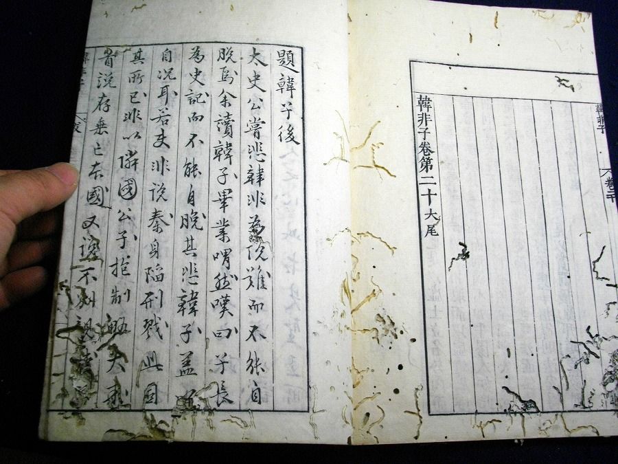 イメージ 7