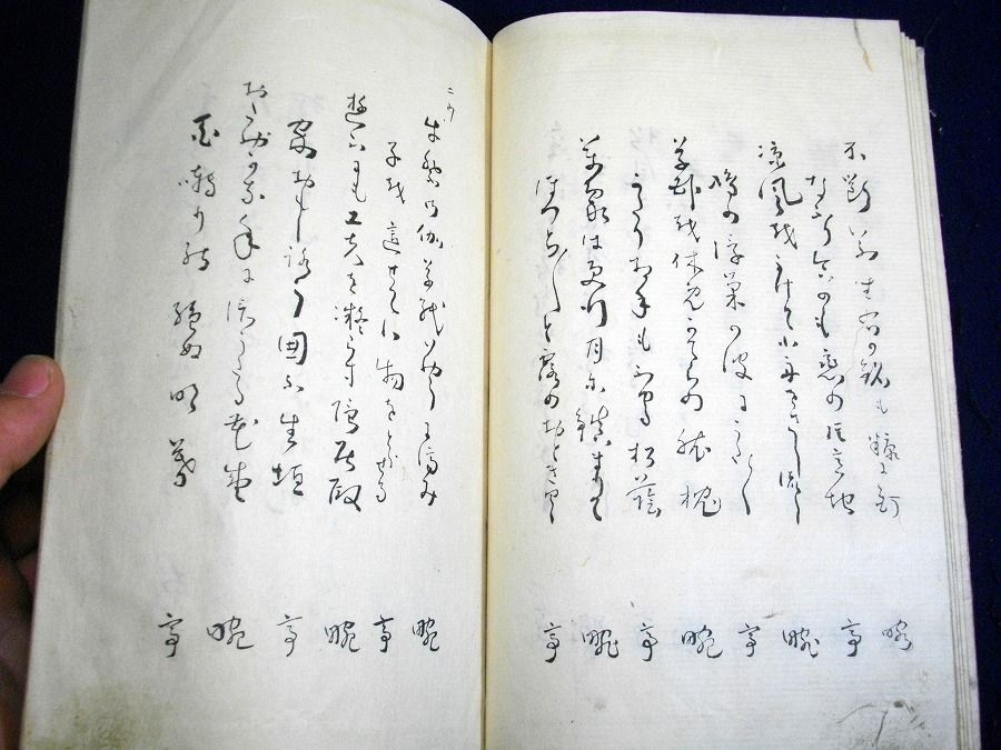 イメージ 5