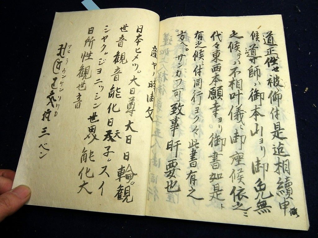 イメージ 8