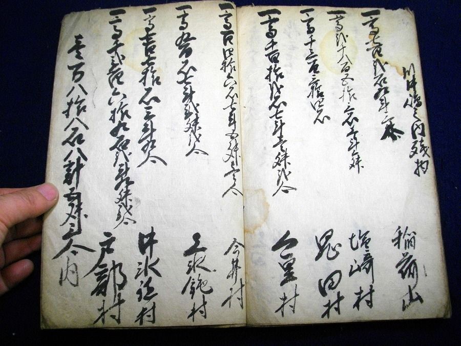 イメージ 6