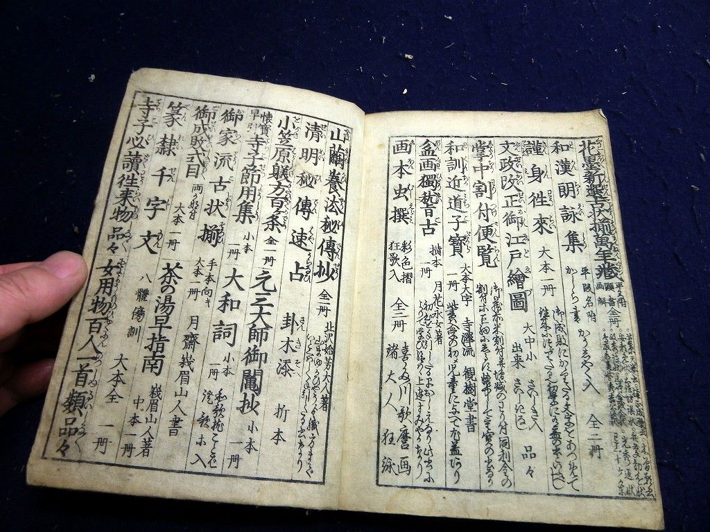 イメージ 12
