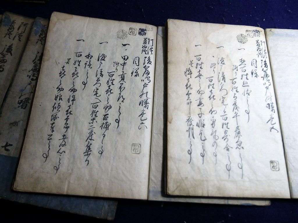 イメージ 6