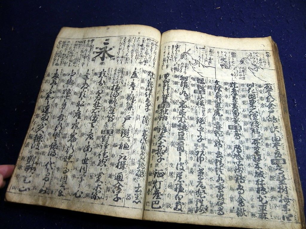 イメージ 7