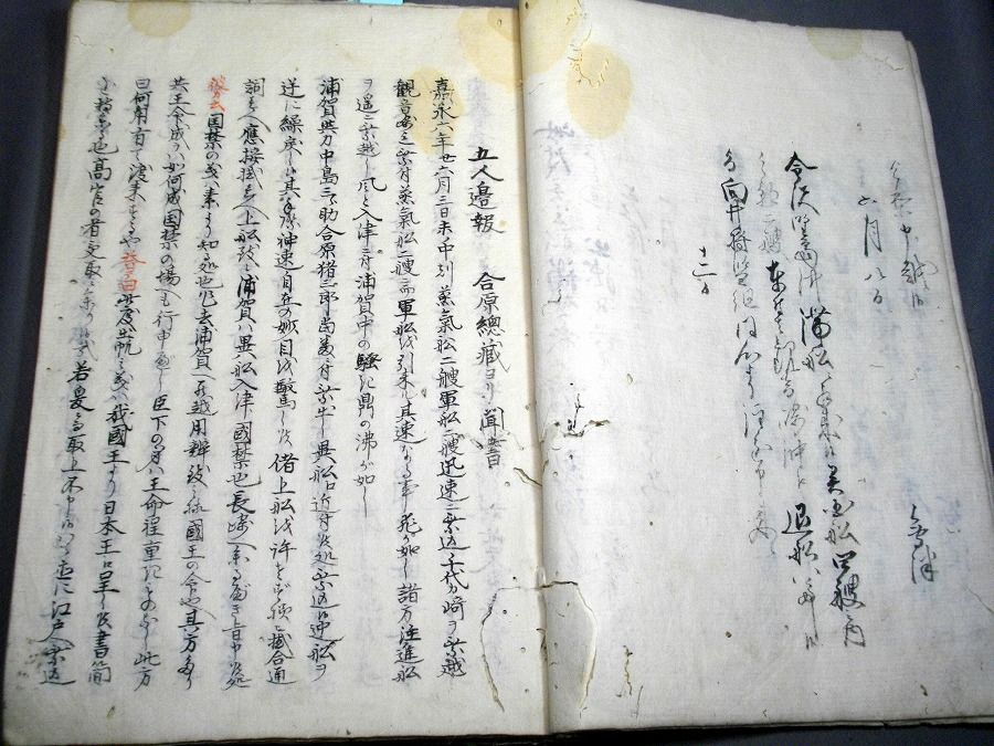 イメージ 3