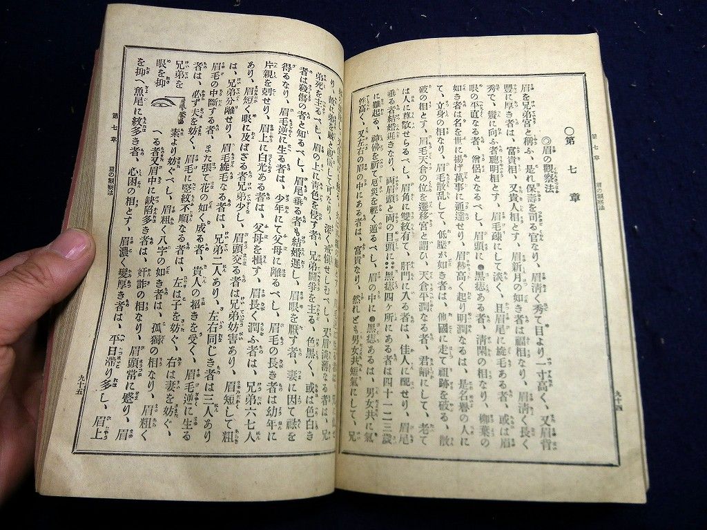 イメージ 9