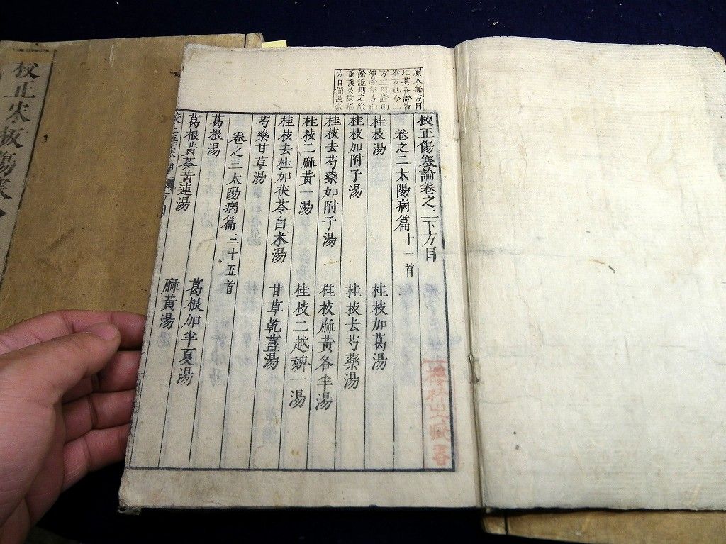 イメージ 5