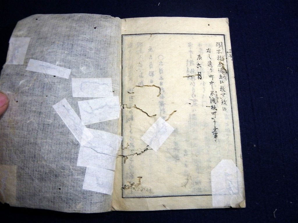 イメージ 8