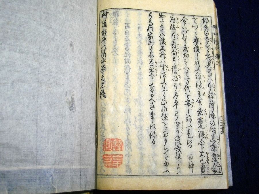 イメージ 6